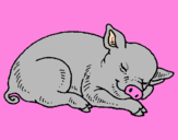 Desenho Porco a dormir pintado por yasmin venancio