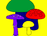 Desenho Cogumelos pintado por enzo gabriel 