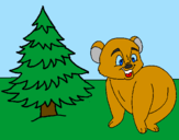 Desenho Urso e abeto pintado por carol