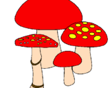 Desenho Cogumelos pintado por Josi