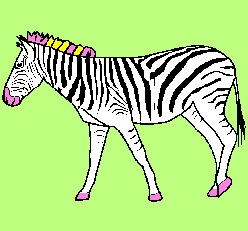 Desenho Zebra pintado por lrissa