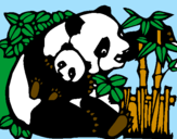 Desenho Mamã panda pintado por eder