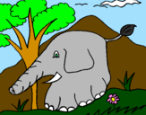 Desenho Elefante pintado por henryque