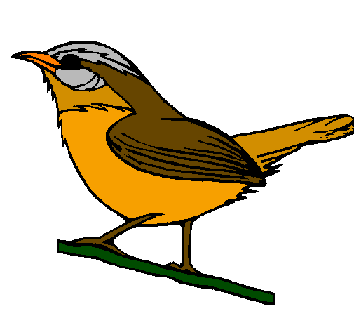 Desenho Pássaro silvestre pintado por Regina