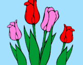 Desenho Tulipa pintado por dani