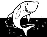 Desenho Tubarão pintado por roro