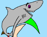 Desenho Tiburão alegre pintado por joao victor