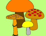 Desenho Cogumelos pintado por Filo