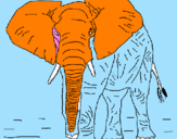 Desenho Elefante pintado por JOAO  VICTOR