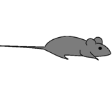 Desenho Rata pintado por bibi