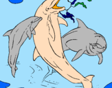 Desenho Golfinhos a brincar pintado por oi
