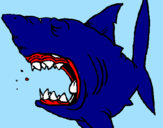 Desenho Tubarão pintado por joaquim