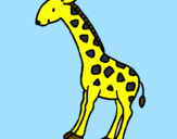 Desenho Girafa pintado por bertha.
