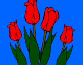 Desenho Tulipa pintado por viviane