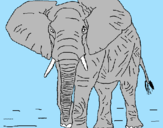 Desenho Elefante pintado por Gigante