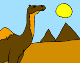 Desenho Camelo pintado por Gabriele