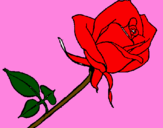 Desenho Rosa pintado por luisa