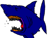 Desenho Tubarão pintado por gian   lucas