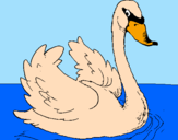 Desenho Cisne na água pintado por maria fer