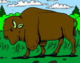 Desenho Búfalo pintado por LUIS