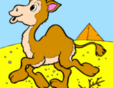 Desenho Camelo pintado por laura