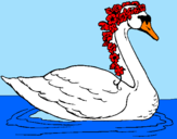 Desenho Cisne com flores pintado por sofia