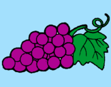 Desenho Uvas pintado por frutas