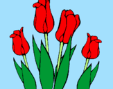 Desenho Tulipa pintado por Rosas