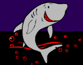 Desenho Tubarão pintado por gian lucas