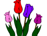 Desenho Tulipa pintado por LEÃO