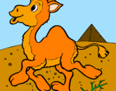 Desenho Camelo pintado por manu