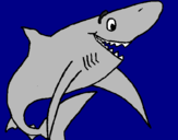 Desenho Tiburão alegre pintado por maria eduarda