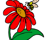 Desenho Margarida com abelha pintado por MARLENE