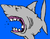 Desenho Tubarão pintado por joão victor