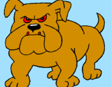 Desenho Cão Bulldog pintado por bdb