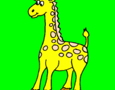 Desenho Girafa pintado por Clara vovó Shirley