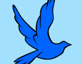 Desenho Pomba da paz a voar pintado por pao