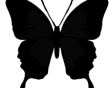 Desenho Borboleta com asas negras pintado por barbara