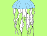 Desenho Medusa pintado por xana
