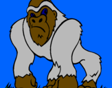 Desenho Gorila pintado por aladim