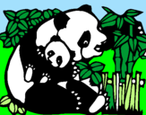 Desenho Mamã panda pintado por carolina nunes