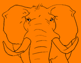 Desenho Elefante africano pintado por ivan
