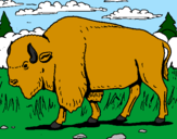 Desenho Búfalo pintado por Gabriele