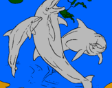 Desenho Golfinhos a brincar pintado por Cristina