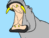 Desenho Hipopótamo com a boca aberta pintado por Boca Grande