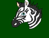 Desenho Zebra II pintado por maria portel