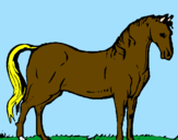 Desenho Cavalo andaluz pintado por Nathiely
