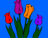 Desenho Tulipa pintado por Catarina
