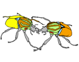 Desenho Escaravelhos pintado por tania