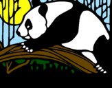 Desenho Urso panda a comer pintado por betania